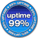 Hosting 99% Uptime
